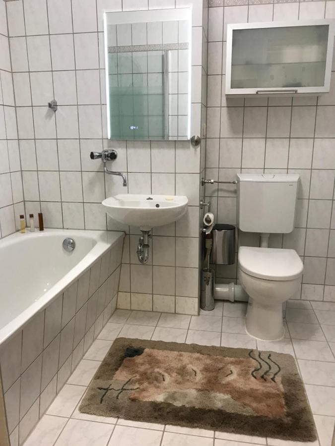 Zentrumsnahe Leipzig-Apartments, Nahe Ufz Und Bmw Inkl Parkplatz Und Fahrraeder Eksteriør bilde