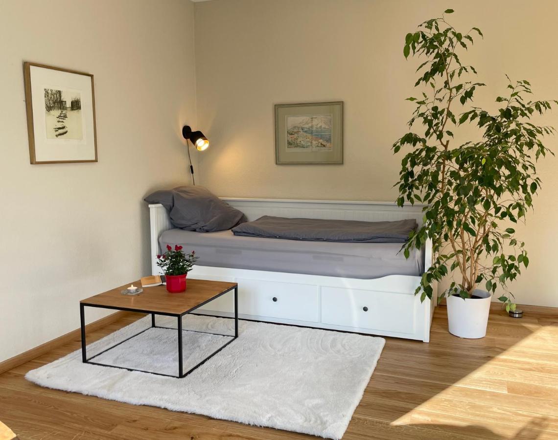 Zentrumsnahe Leipzig-Apartments, Nahe Ufz Und Bmw Inkl Parkplatz Und Fahrraeder Eksteriør bilde